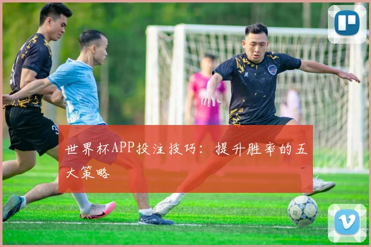 世界杯APP投注技巧：提升胜率的五大策略