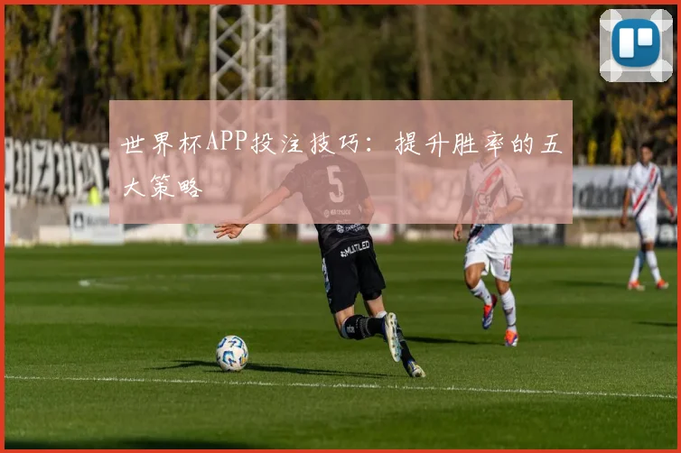 世界杯APP投注技巧：提升胜率的五大策略