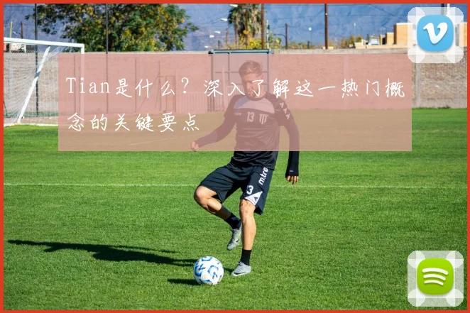 Tian是什么？深入了解这一热门概念的关键要点
