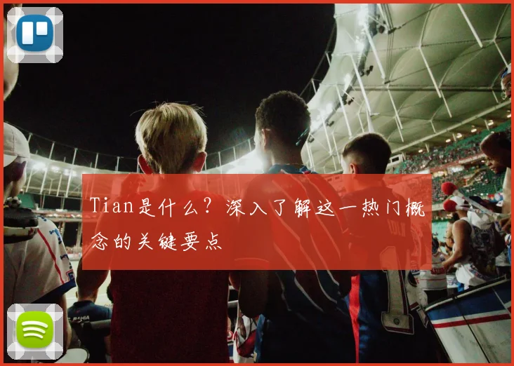 Tian是什么？深入了解这一热门概念的关键要点